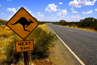 Foto: Straßenschild mit Känguru